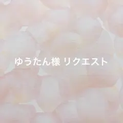 ゆうたん様 リクエスト 2点 まとめ商品