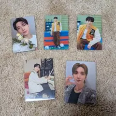 ジョシュア トレカ まとめ売り