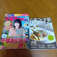 千葉Walker 2016 秋 & ぐるっと千葉 2025年6月★2冊★