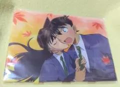 名探偵コナン セガラッキーくじ E賞 アクリルパネル