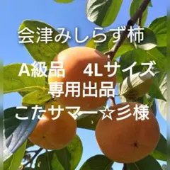 会津みしらず柿　会津身知らず柿　A級品　4Ｌサイズ　15個入り　15