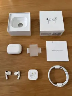 AirPods Pro（第1世代） 充電ケース付き
