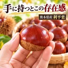熊本県産 幻の高級利平栗 たっぷり2kg