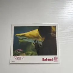 すとぷり さとみくん 実写ブロマイド