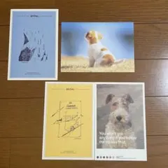 ポストカード　4枚セット　犬　ハリーポッター