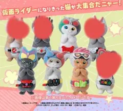 仮面にゃいだーその1&その2　４匹