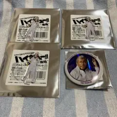 ハイステ 飛翔 アクスタ 缶バッジ 鷲匠