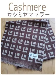 Item thumbnail for item bfbc0d02-076b-4c1d-9714-5a521ea6451d