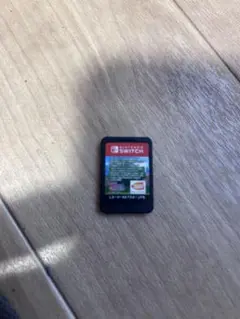Nintendo Switch ソフト アクションゲーム