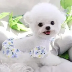 ドッグウェア ワンピース お花 上品 花柄 女の子 お出かけ インスタ映え XS