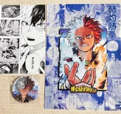 僕のヒーローアカデミア ヒロアカ 轟焦凍　JF公式 スペシャルセット