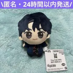 2026年最新】タイニータン ぬいぐるみの人気アイテム - メルカリ
