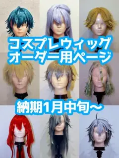 コスプレ　ウィッグ　ウィッグオーダー【受付中】