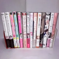 BLマンガ まとめ売り　14冊