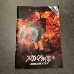 スケバン刑事 コードネーム＝麻宮サキ パンフレット