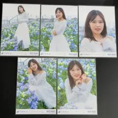 齋藤飛鳥 ここにはないもの 生写真 コンプ 乃木坂46 - メルカリ