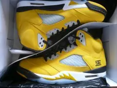 NIKE AIR JORDAN 5 T23 IO3372-700 29.5cm