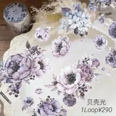 xi147s♦︎小白家-晚风 PET 贝壳光 1ループ 1m ¥290
