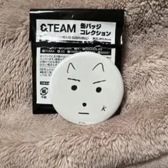 2025年最新】ピンズ・ピンバッジ・缶バッジの人気アイテム - メルカリ