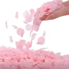 Item thumbnail for item a4774533-3c1d-40b3-abb3-5381819e6365