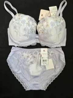 ワコール　Wacoal　 ブラ&ショーツ　セット　 リボンブラ