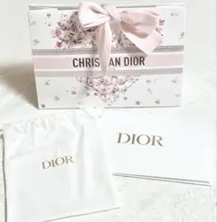 Dior ディオール 2026春 スプリング 限定 ギフト袋 ラッピング 巾着袋