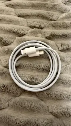 アップル iPhone　純正ライトニングケーブル　タイプC　　【新品未使用】