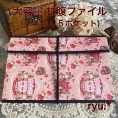 うーたん☆お値下げ☆ おすそ分け　ミニ蛇腹ファイル 紙モノ おすそ分け 蛇腹ファイル (5ポケット) 大容量 - メルカリ