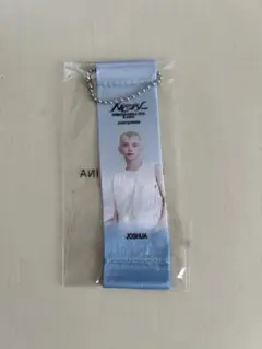 SEVENTEEN ジョシュア ガチャガチャ フラッグキーホルダー