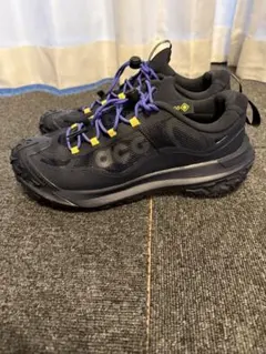 B*t様 ナイキ ACG マウンテンフライ2 GORETEX 28.5㎝　ネイビ
