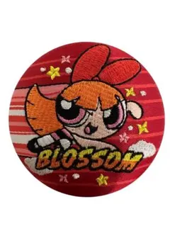 パワーパフガールズ　刺繍缶バッジ