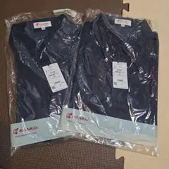 Item thumbnail for item 2c26db24-381c-4815-ad1d-9f868da0bd4a