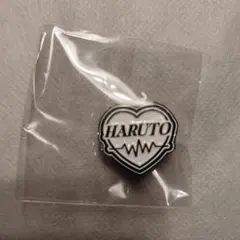 treasure pulse on ピンバッジ ハルト　HARUTO