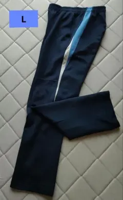 ジャージ パンツ メンズ l