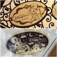 ディズニー　スーベニアメダル　チャンドゥ　２枚のサムネイル