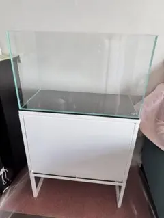 2026年最新】ADA 水槽 中古の人気アイテム - メルカリ