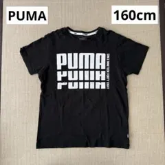 【試着のみ】 PUMA Tシャツ 160cmのサムネイル