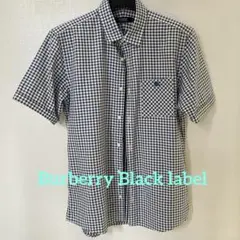 Item thumbnail for item 09ba5f2a-6a2a-483e-88f2-303a58c01f4e