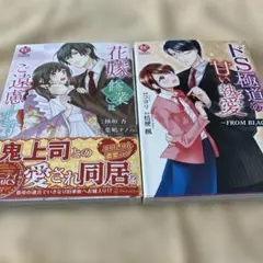 Item thumbnail for item 3801a863-2500-4a13-8c70-59a41372198e