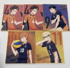 ハイキュー！！ ゴミ捨て場の決戦展 ミニ色紙
