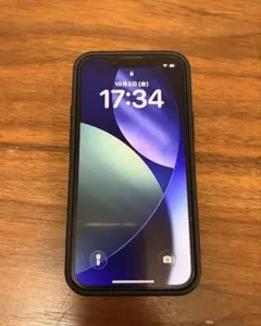 こ*ろ様 iPhone13 mini 256GB