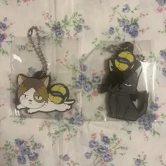 ハイキュー‼︎×MiKASA キャララバーコレクション２　クロオネコ　ケンマネコ