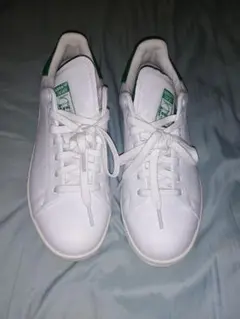 ゴルフシューズ 24.5