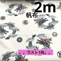 【特価】お値下げ最終出品SALE★ラスト1枚★帆布★ドラゴン★アイボリー★