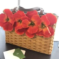 ケイトスペード かごバッグ　フラワー kate spade】お花柄♪かごバッグ sam wicker medium satchel