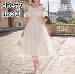 未使用級✨希少 チェスティ ギンガムチェック フリル フラワー ワンピース 0