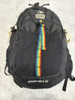 CHUMS SPRING DALE 25 バックパック