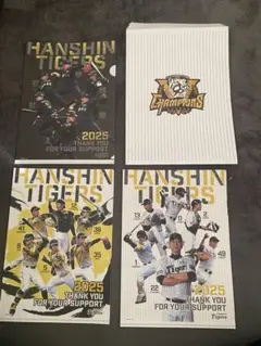 新品 阪神タイガース 80周年記念 クリアファイル 3枚セット 藤浪 上本