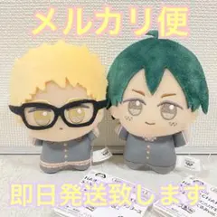 ハイキュー!!×サンリオキャラクターズ ちびぐるみ vol.1 月島蛍 山口忠