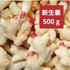 ハウス新生姜　小さめ 500g 高知県産 産直のサムネイル